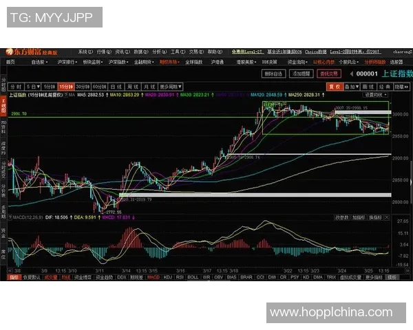 成都篮球队与武汉篮球队赛后复盘分析比赛节奏与战术对决